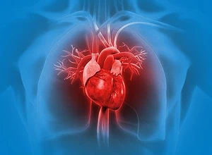 Эхокардиография