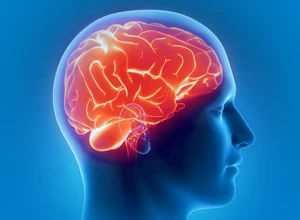 Магнитно-резонансная томография (МРТ) головного мозга