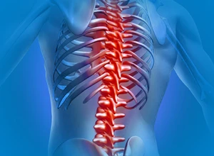 Магнитно-резонансная томография (МРТ) одного отдела позвоночника