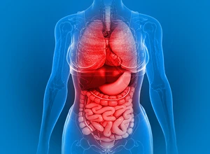 КТ органов грудной полости, брюшной полости с контрастом