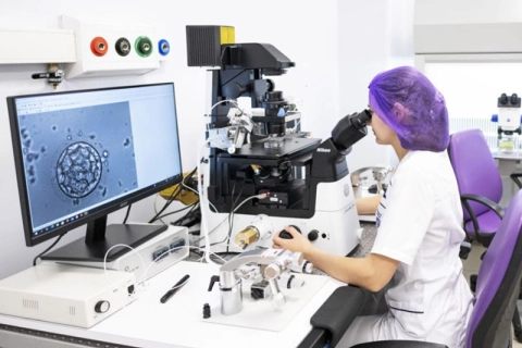 Анастасия Ракова сообщила о росте доступности репродуктивных технологий в столице